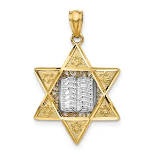 14k Yellow Gold Polish Texture Finish Star of David with Torah Pendant