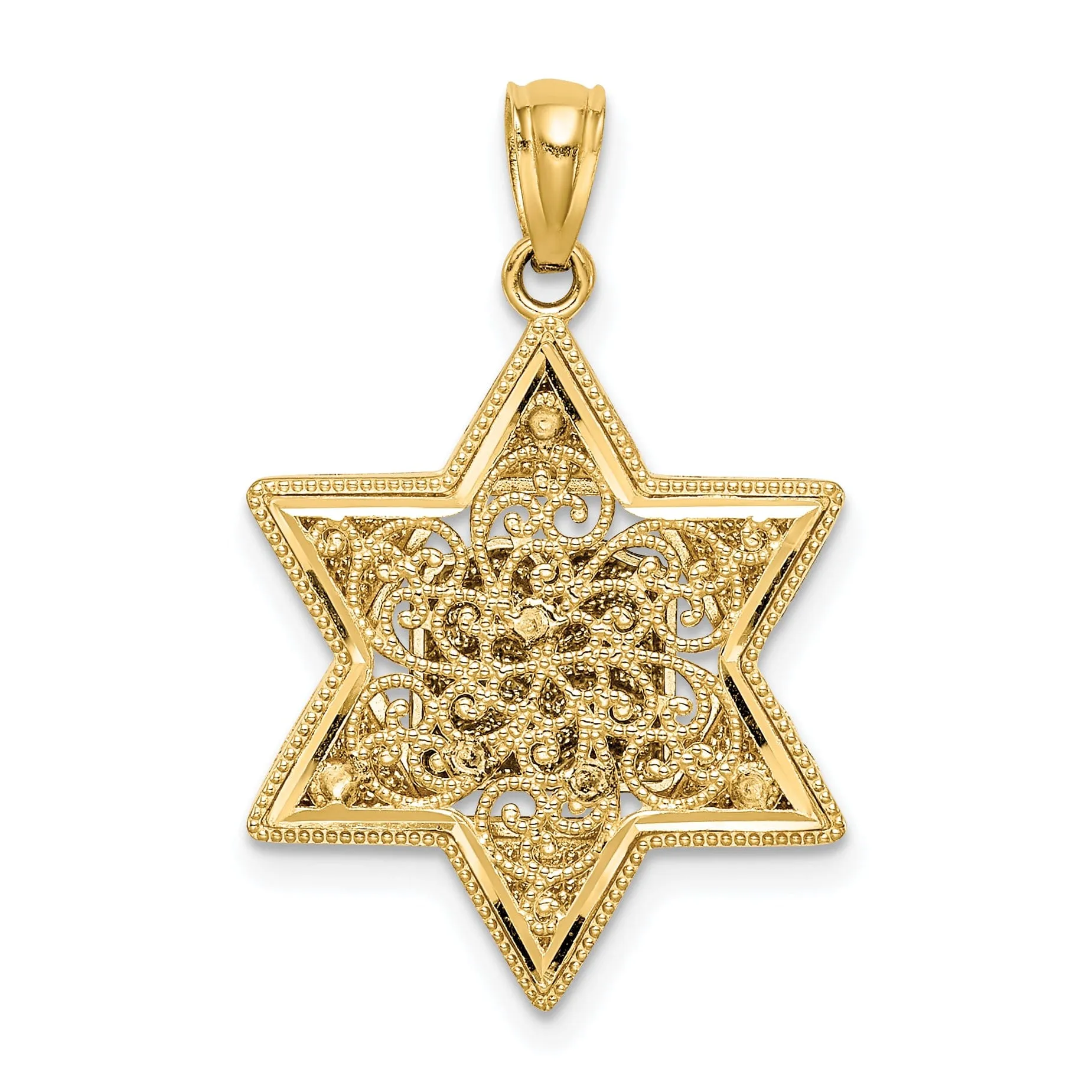 14k Yellow Gold Polish Texture Finish Star of David with Torah Pendant