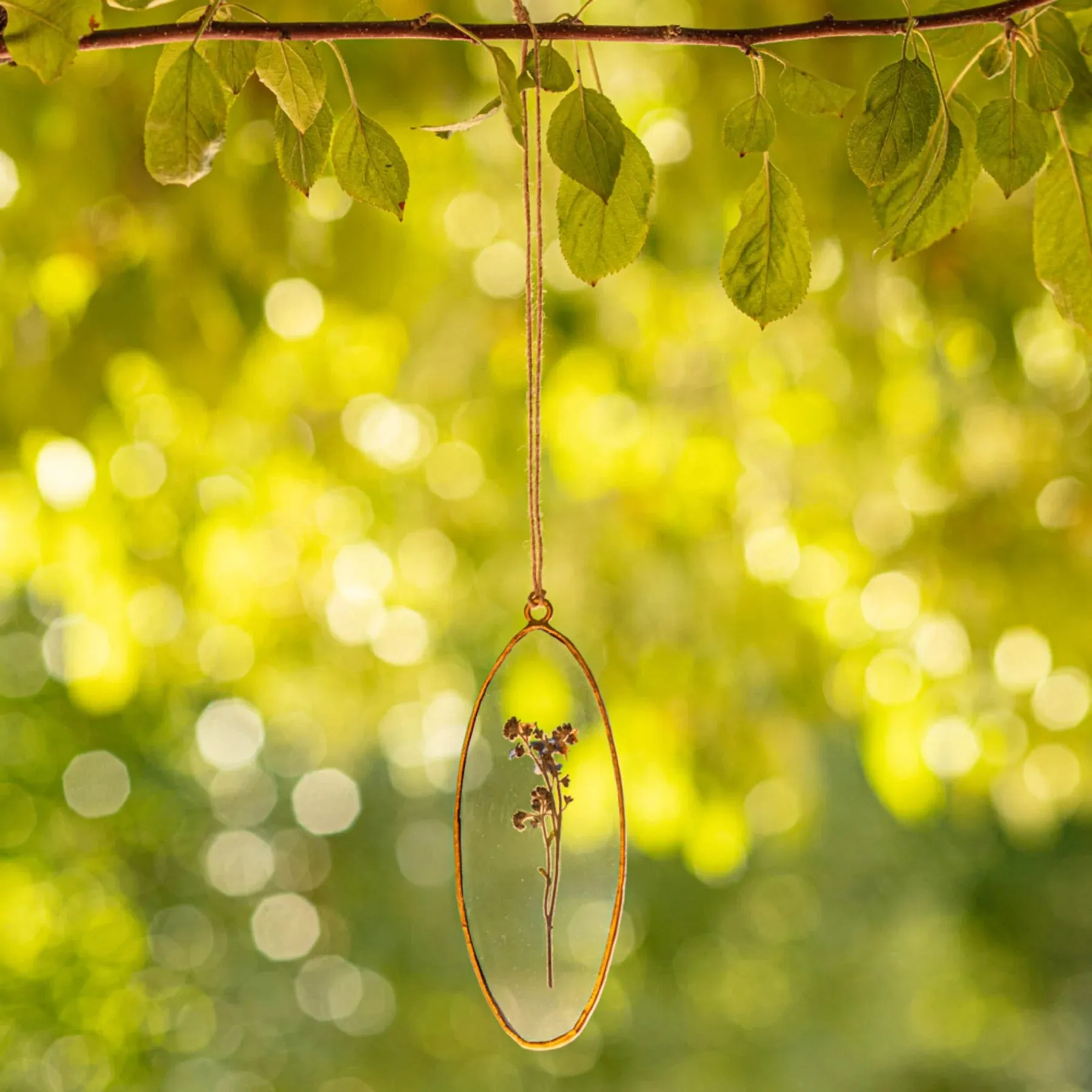 Rosy Rings Periwinkle Oval Pressed Floral Suncatcher